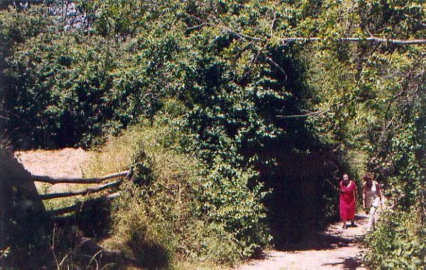 El Risco Del Lomero Holiday home Valdelarco 0*,